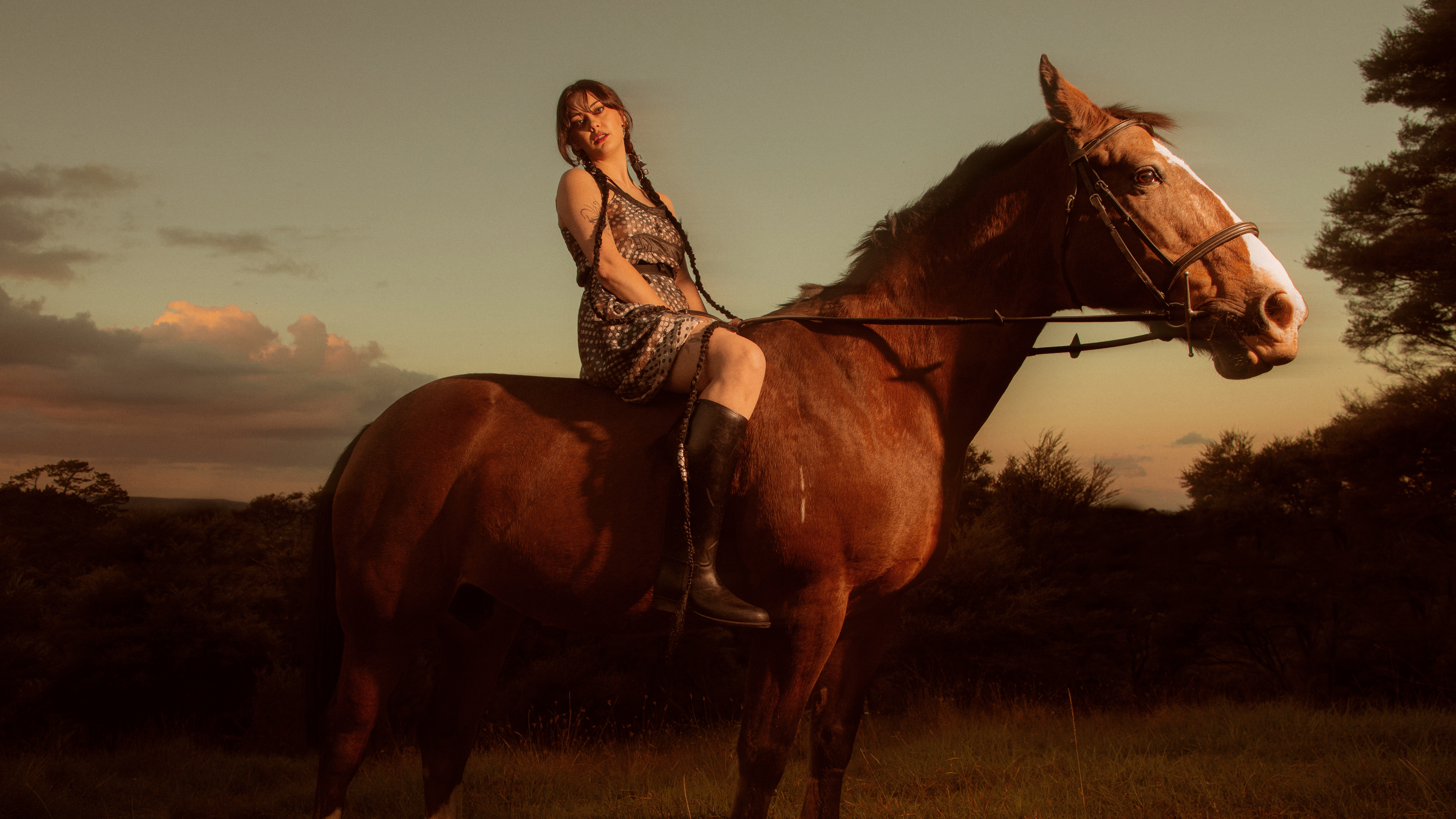 City Sounds: Toy Shaw, 28 November