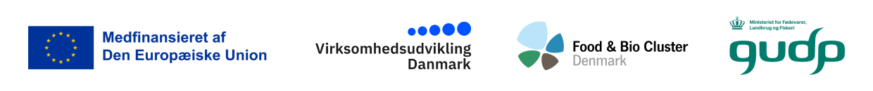 Sidestrømsnetværket