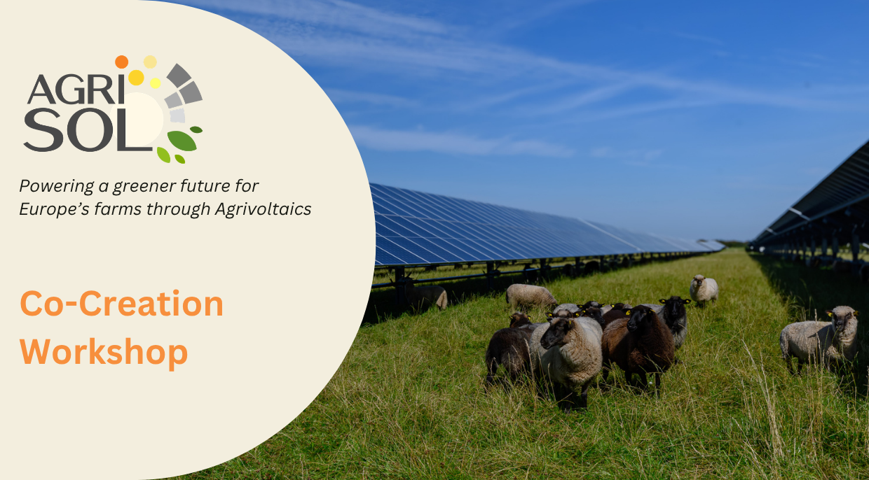 Workshop agrivoltaik - solenergi i samspil med landbrug