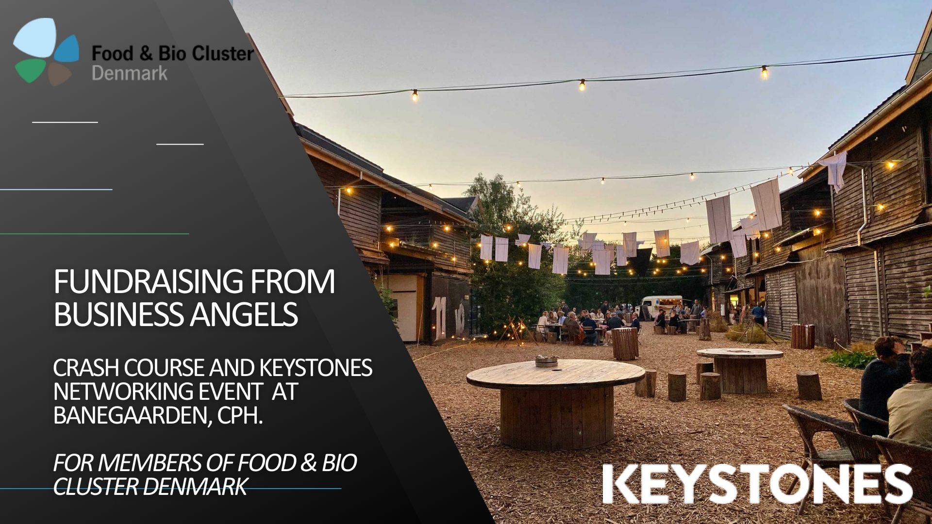 Crash Course in fundraising from business angels and Keystones in...