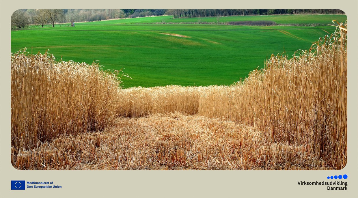 Grøn Trepart: Fra lavbundsjord til byggematerialer