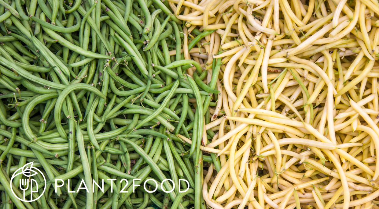 Clean Label Plant Foods - Online Pitch Session