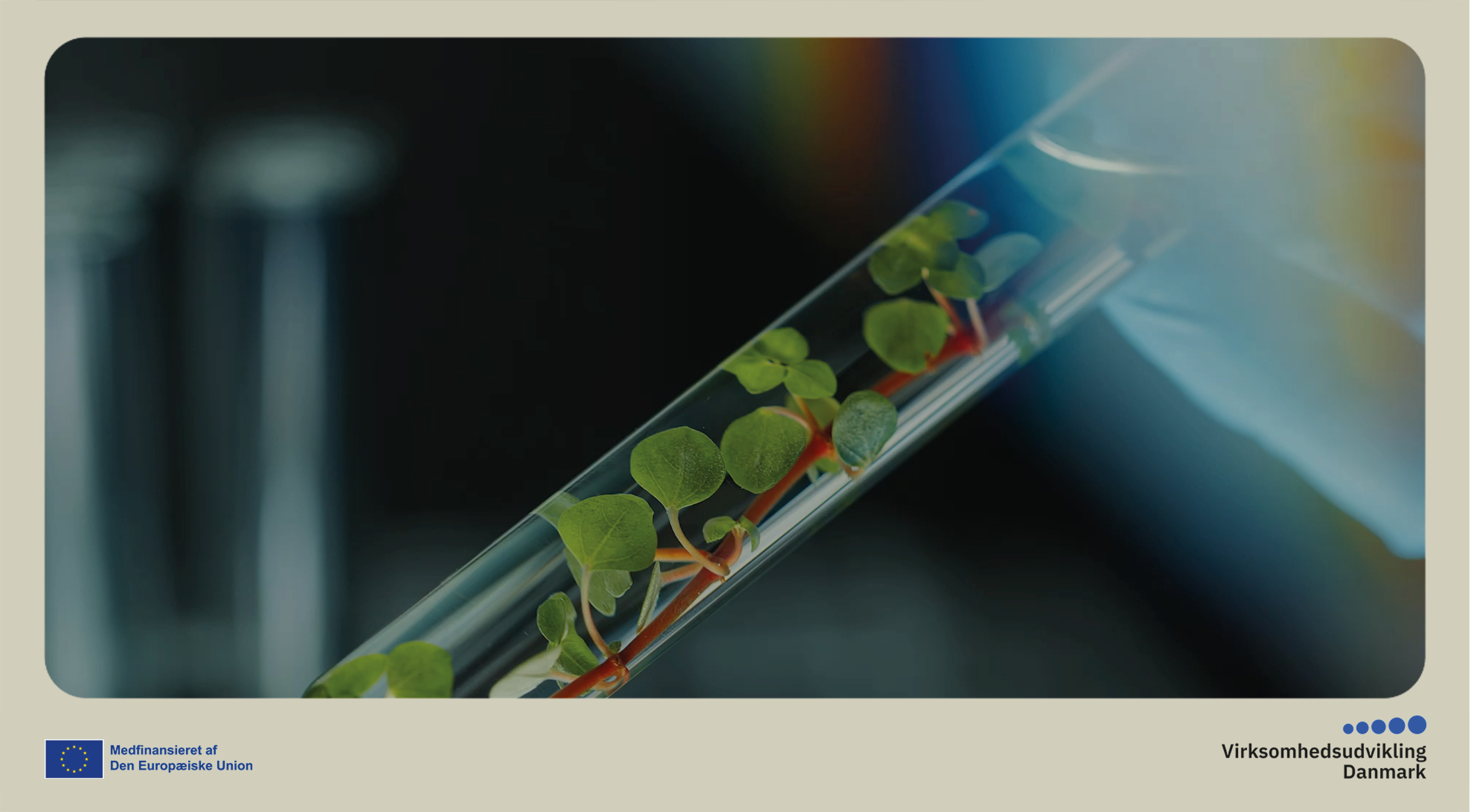 Bio Inspire & Green Leap Challenge Awards