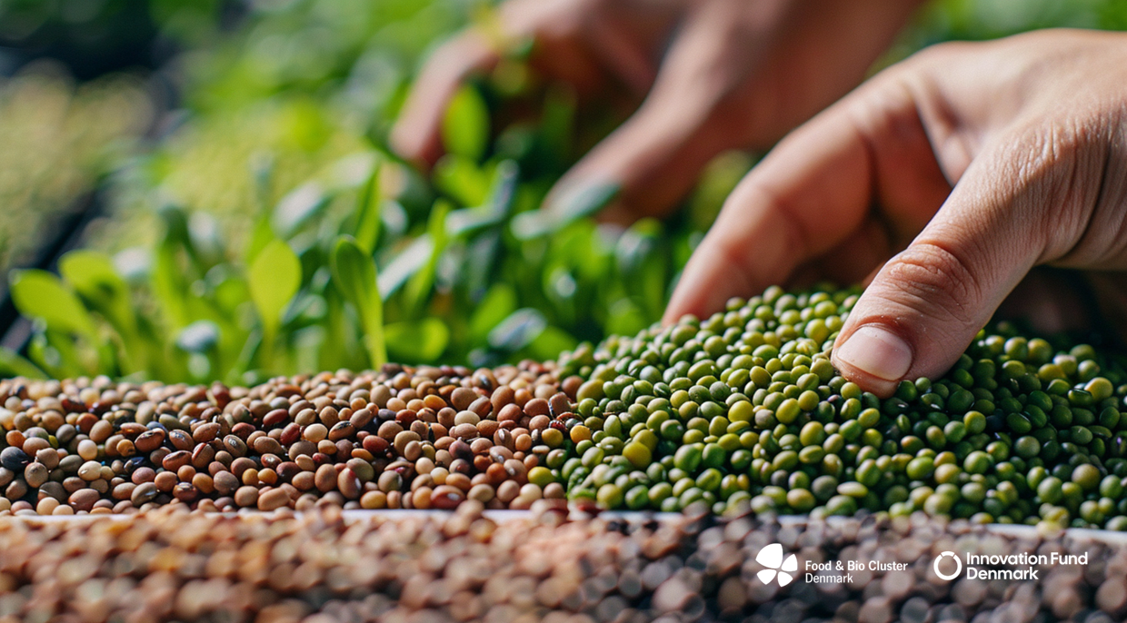 Webinar: How to apply for the Booster call by Food & Bio Cluster Denmark