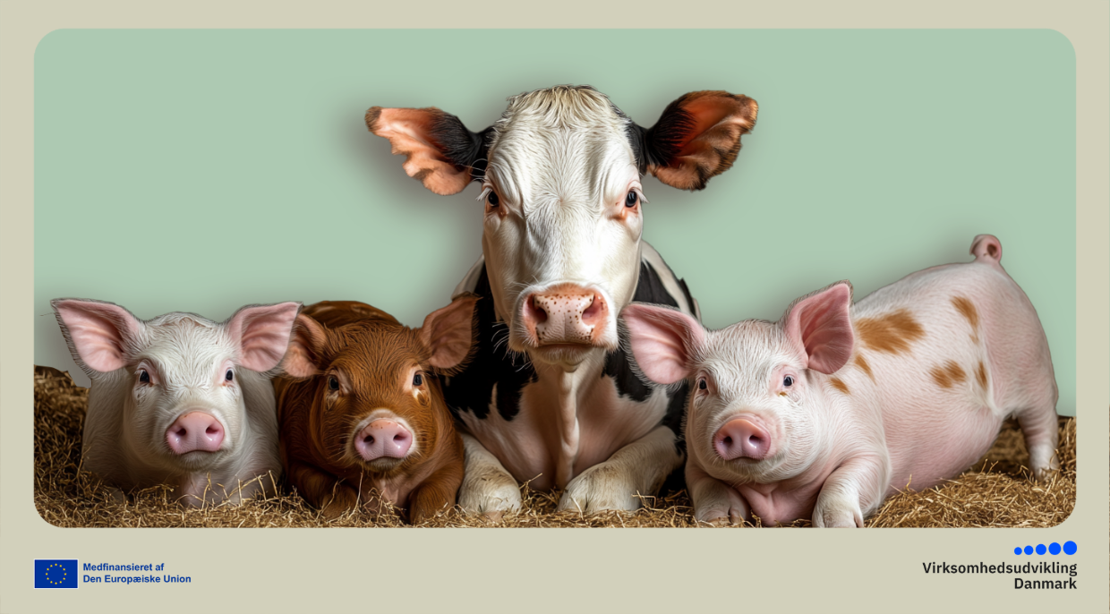 Miljø-, klima- og husdyrnetværk