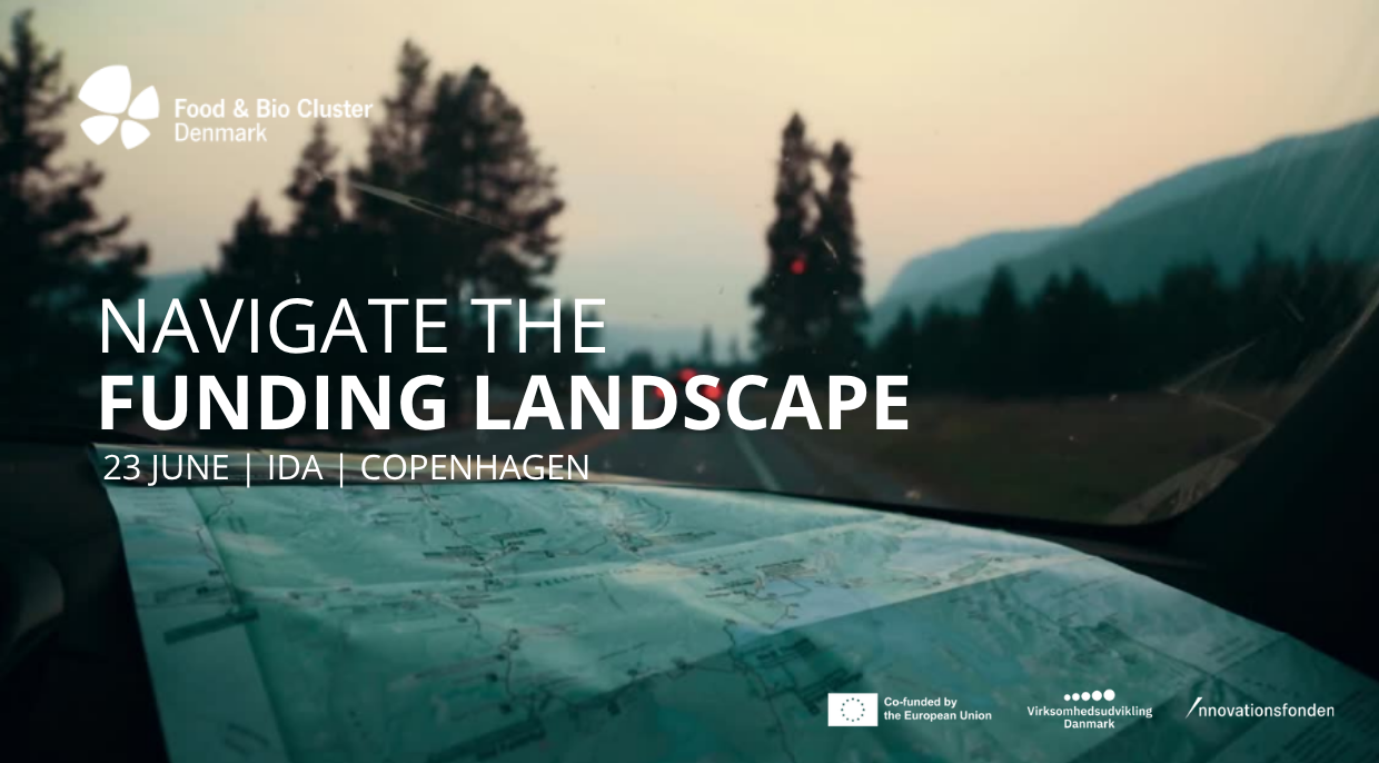 Fundraising Day: Accelerating Impact
