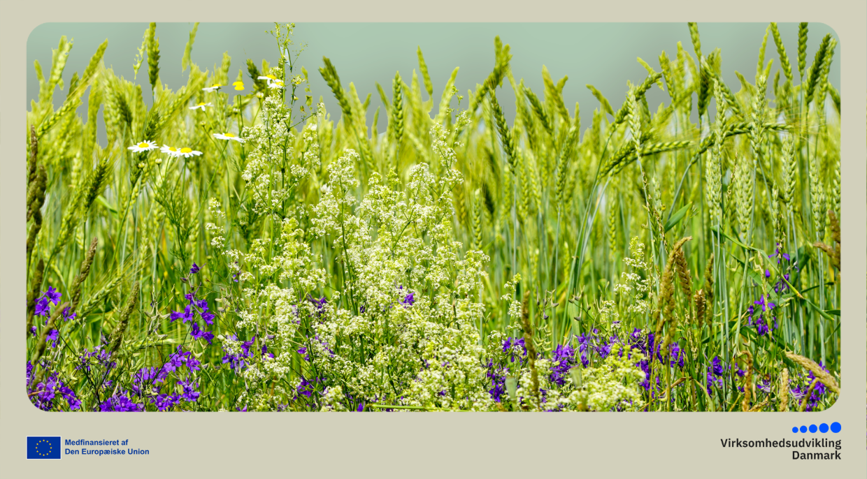 Netværk for Regenererende Landbrug