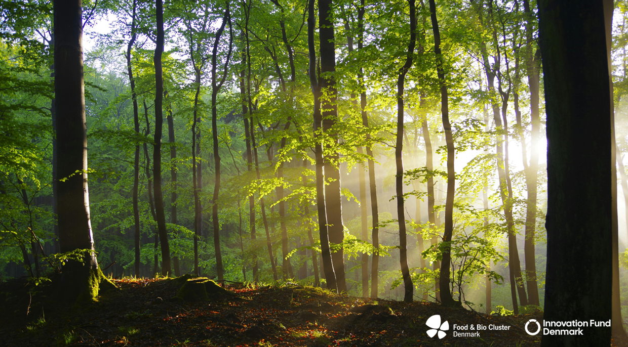 Uprooted Perspectives: From Single Projects to Mission Impact