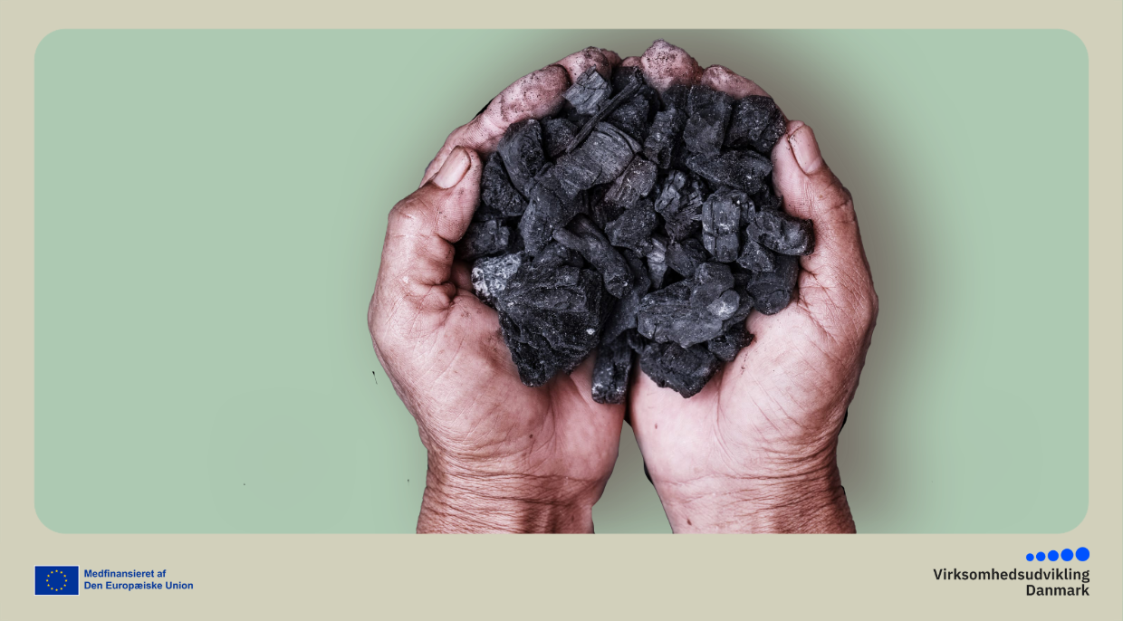 Pyrolyse-og biokulsnetværk