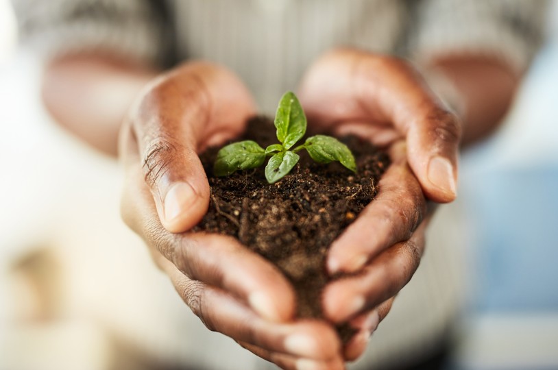 Webinar: Learn about the Pathways to 2050 call