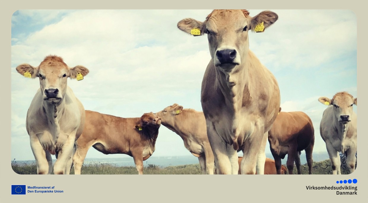 Netværksmøde: Regenererende Landbrug og Husdyr